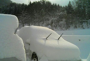 庭のオブジェ？