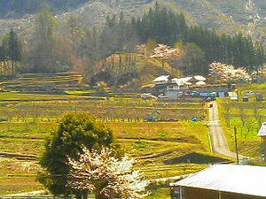 ギオンボウの柿ノ木団地