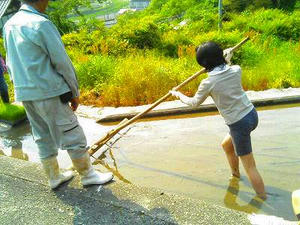 スジたてに初挑戦！
