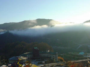 龍のしっぽに見えないかなぁ(^_^.)