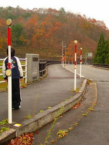 反射板が伸びてるでしょ。