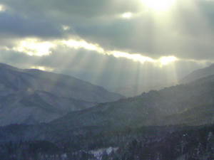 今週のお気に入り　その１