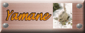 YAMANEさんのホームページ