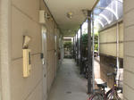 f1a93087.jpg