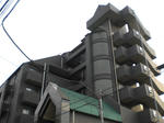 CIMG8996.JPG