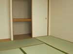 CIMG9018.JPG