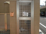 CIMG0124.JPG