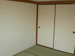 CIMG0244.JPG