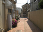 CIMG0281.JPG
