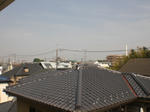 CIMG0268.JPG