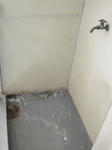 CIMG0750.JPG