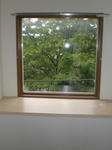 CIMG0763.JPG