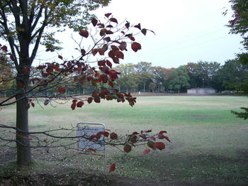 高岩公園