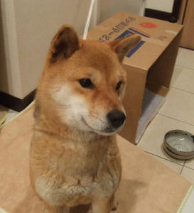 DSCF2234.JPG