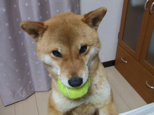 DSCF2237.JPG