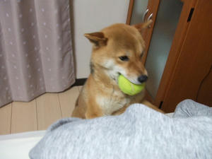 DSCF2238.JPG