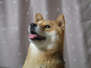 DSCF2240.JPG