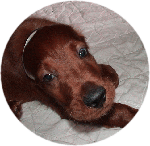 2008-06-13-2.gif