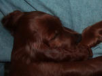 2008-06-16-1.jpg