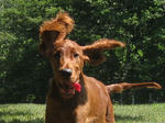 2008-08-12-7.jpg