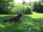 2008-08-12-90.jpg
