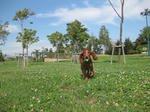 park-1.jpg