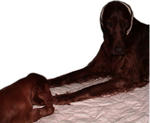 2008-06-12-90.jpg