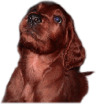2008-06-12-5.gif