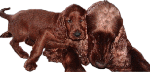 2008-06-17-3.gif