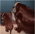 2008-06-16-2.gif