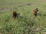 2009-09-02-92.jpg