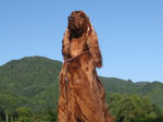 2009-09-20-5.jpg