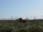 2009-10-10-90.jpg