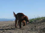 2009-10-10-93.jpg