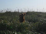 2009-10-10-96.jpg
