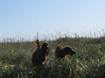 2009-10-10-98.jpg