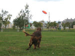 2009-10-01-6.jpg