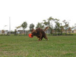 2009-10-01-990.jpg