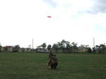 2009-10-01-991.jpg