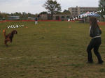 2009-10-18-8.jpg