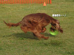 2009-10-18-95.jpg