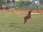 2009-10-18-9990.jpg