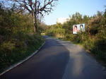 10f60598.JPG
