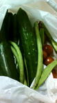 3077a8b4.JPG