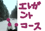 fimg_1237283874.png