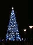 DSCF0166.JPG