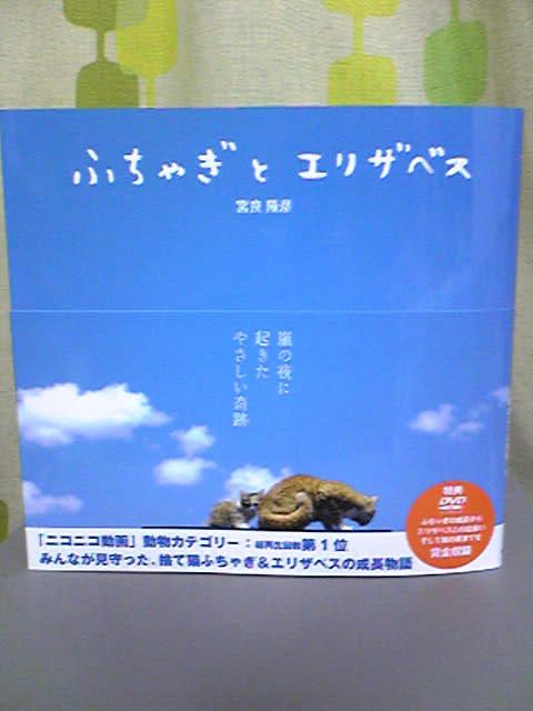 c7a25031jpeg