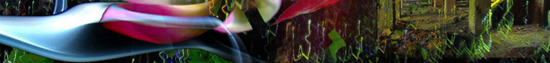 footer img2
