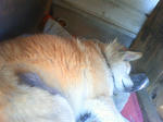 NEC_0015573537573.JPG