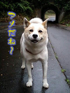 Ereo7-3-1